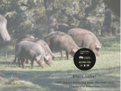 Jamon Iberico 100% Bellota 2 Oz-57g