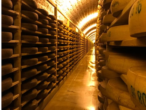 Manchego Cheese -Semi Cured 1 Kg